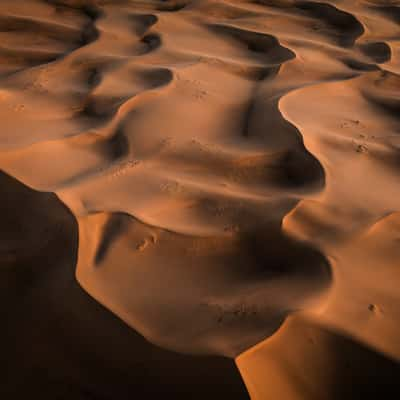 Khongor Sand Dune Structures, Mongolia