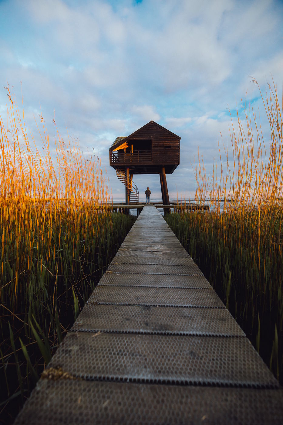 Kiekkaaste, Netherlands