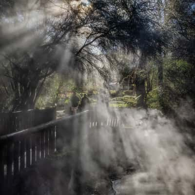 Kuirau Geothermal Park, Rotorua, North Island, New Zealand