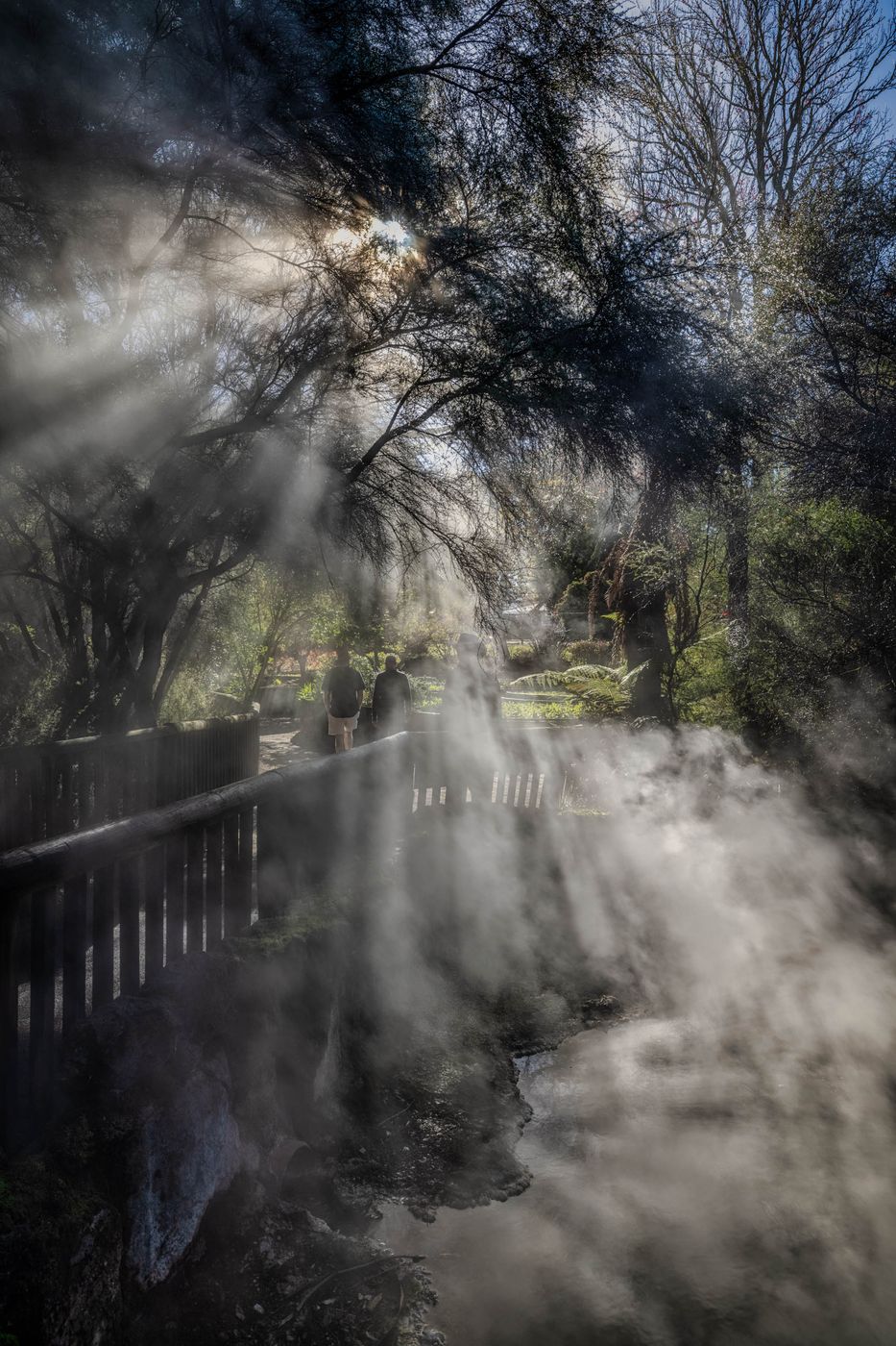 Kuirau Geothermal Park, Rotorua, North Island, New Zealand