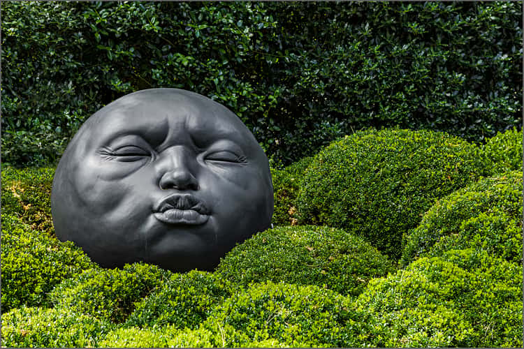 Les Jardins d’Etretat (the Etretat Gardens)