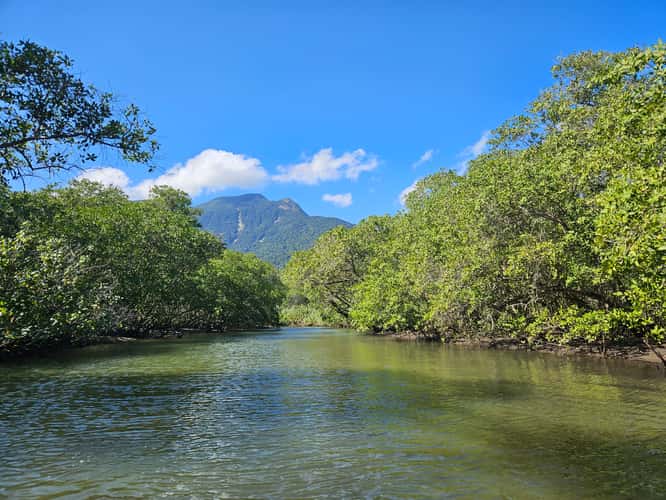 Mamanguá