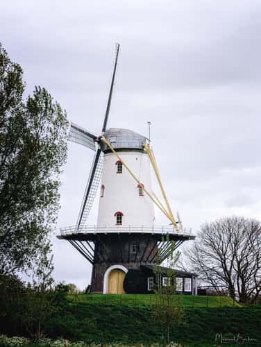 Mill of Veere (De Koe) from parking