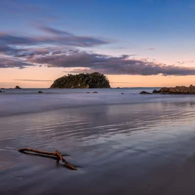 Motuotau Island, Mt Maunganui, Tauranga, North Island, New Zealand