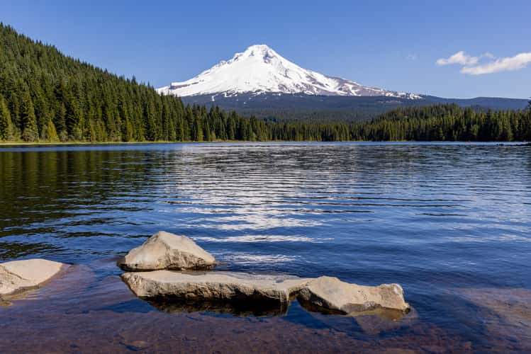 Mount Hood from Trillium Lake
