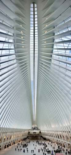 Oculus