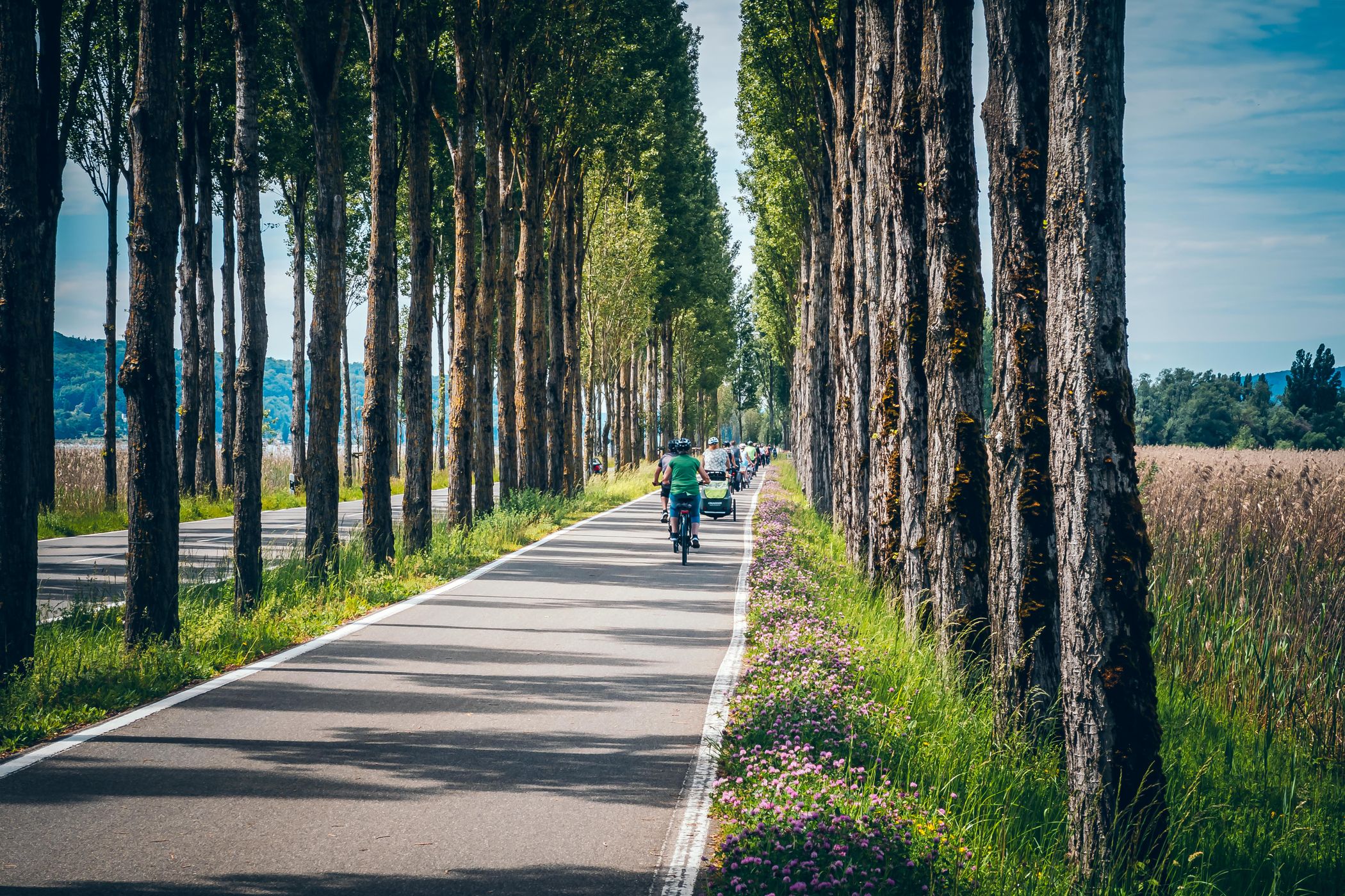 Pappelallee, Germany