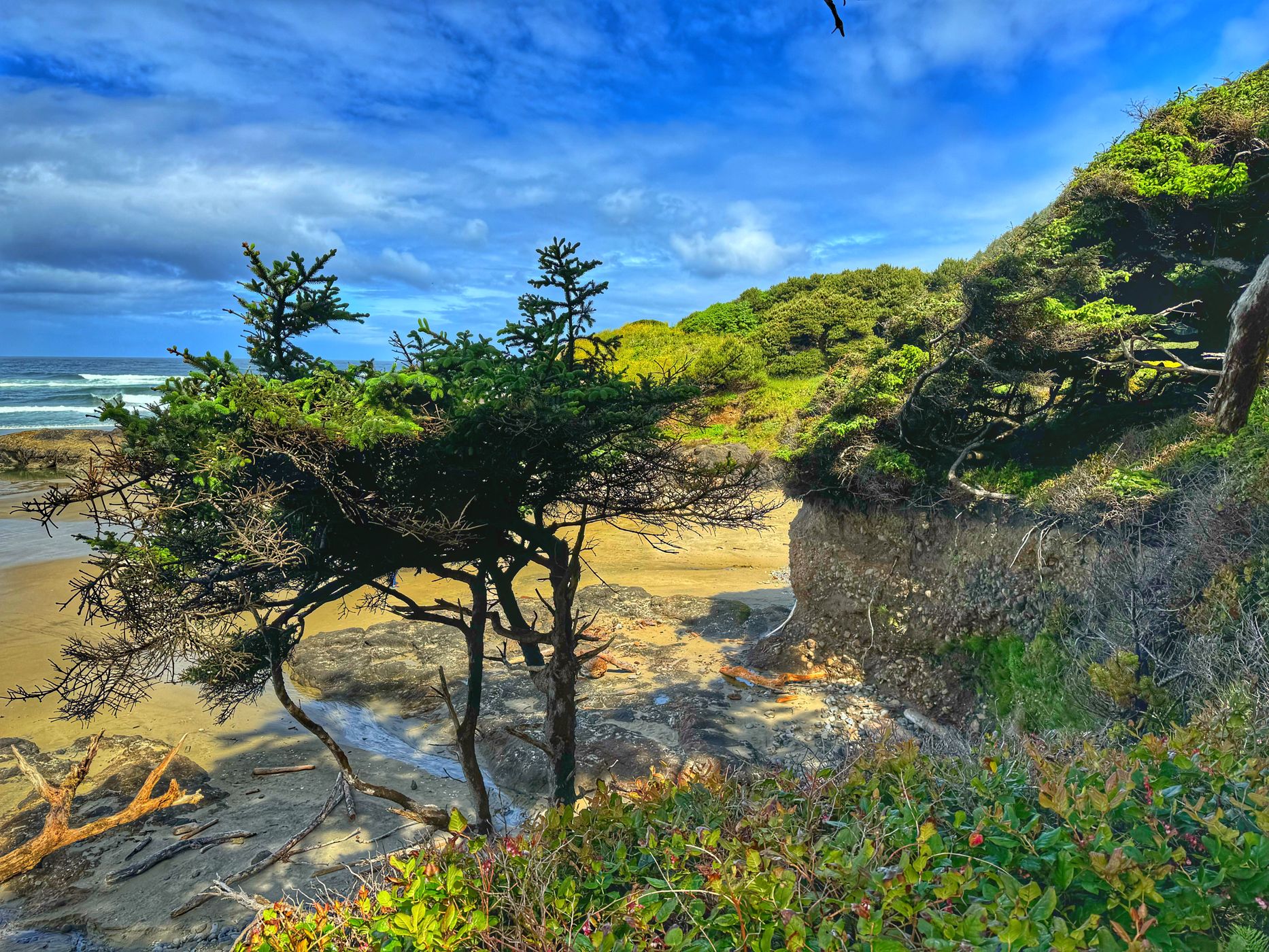Past Gwynn creek, USA
