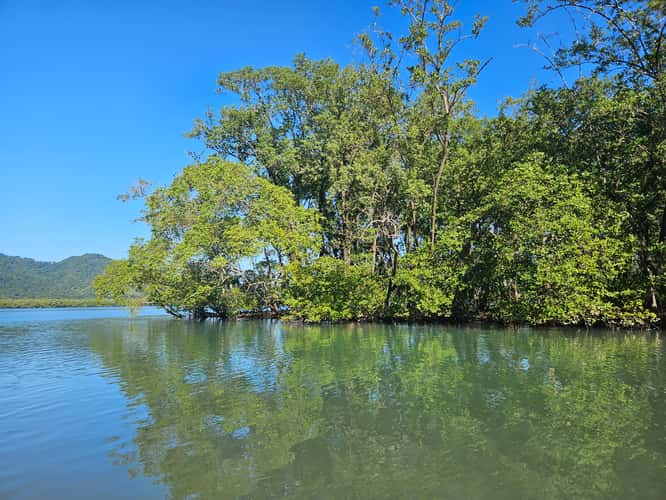 Saco do Mamanguá