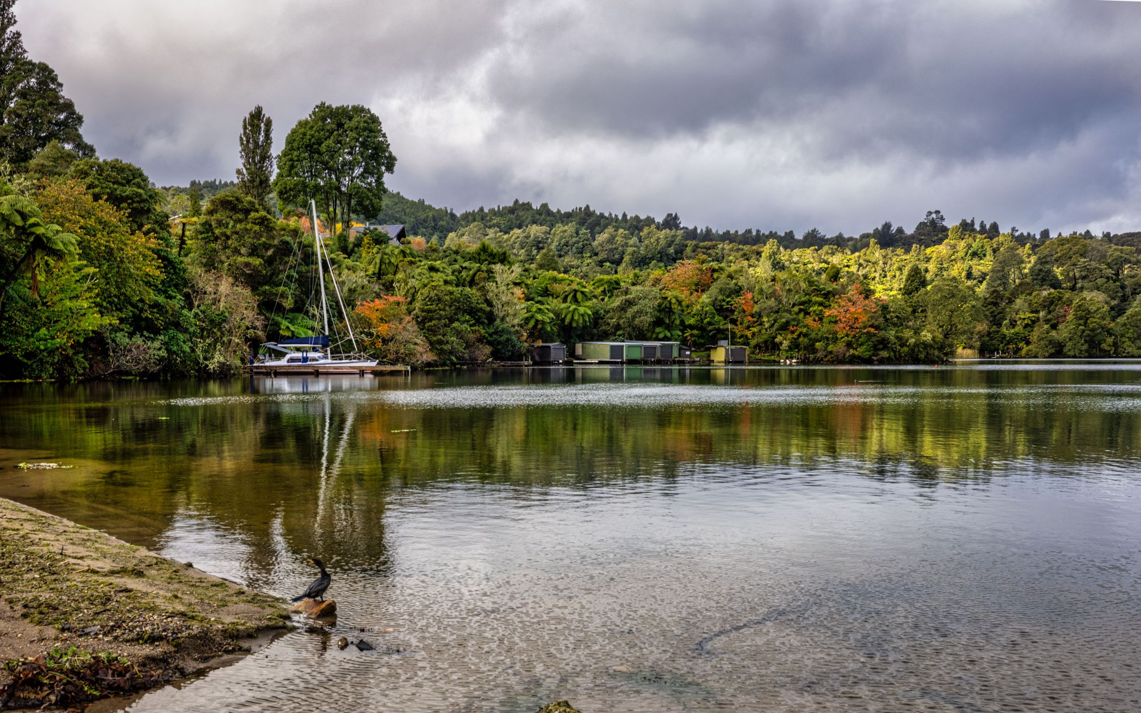Sail Boat Lake Tarawera, North Island, New Zealand