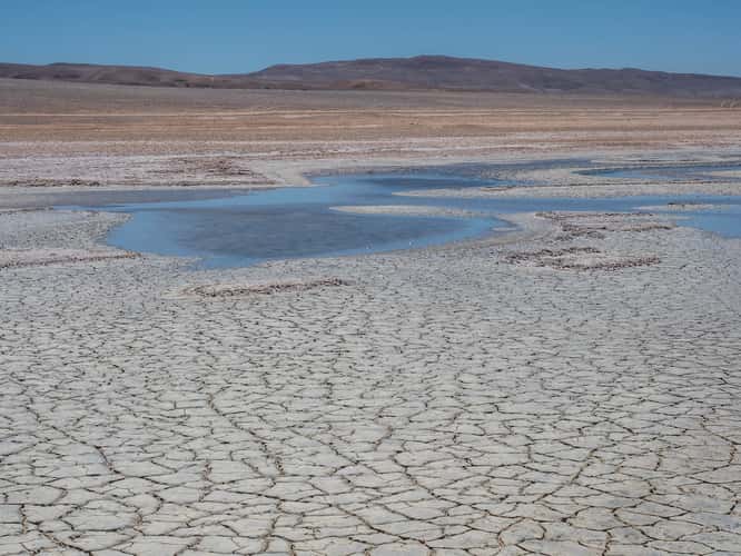 Salar de Pedernales