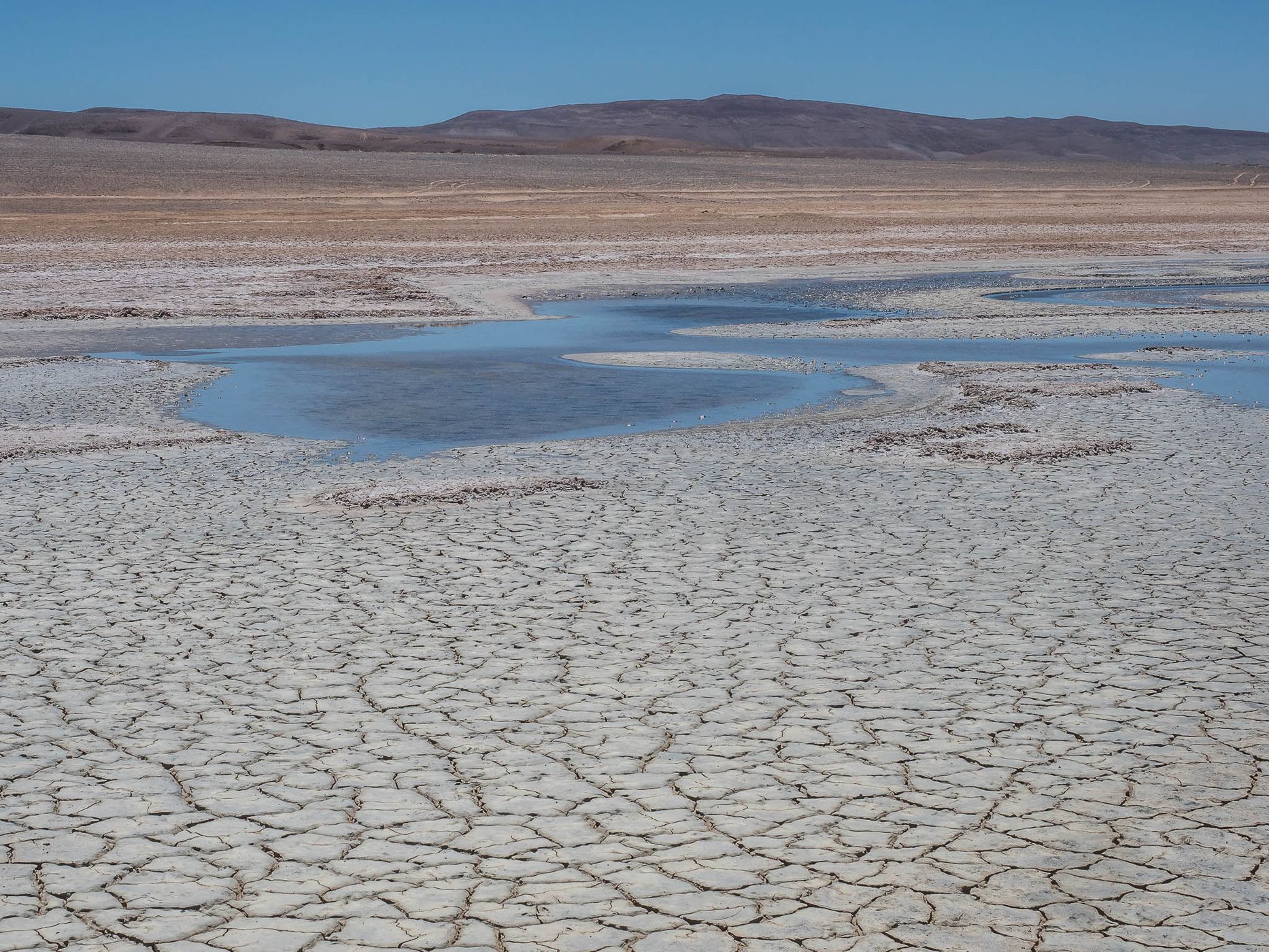 Salar de Pedernales, Chile