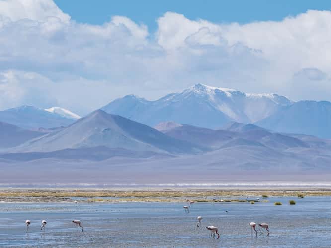Salar de Pedernales