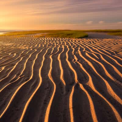 Skaget beach, Cape Cod, MA, USA