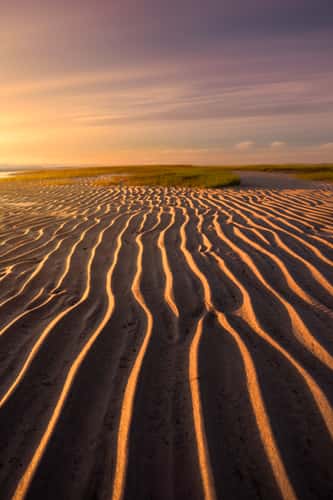Skaget beach, Cape Cod, MA