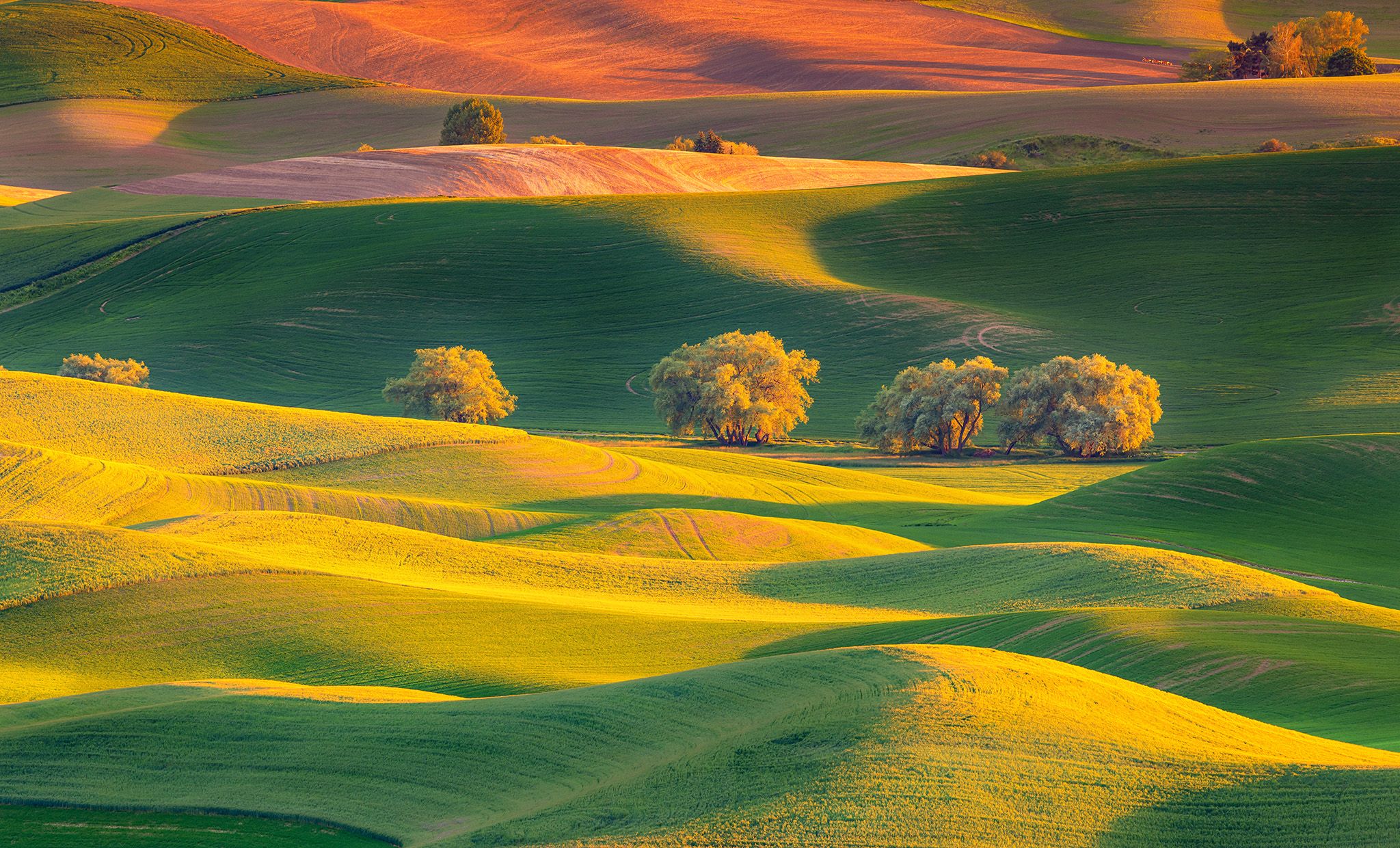 Steptoe Butte, Spokane, WA, USA
