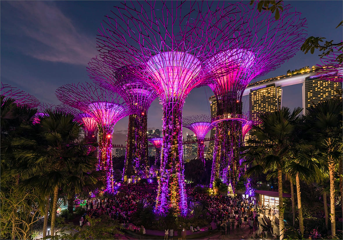 Supertree Grove - Gardens by the bay, Singapore, Singapore