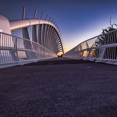 Te Rewa Rewa Bridge