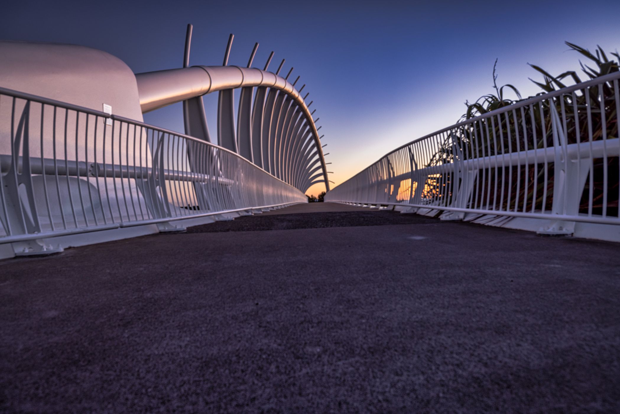 Te Rewa Rewa Bridge, New Plymouth,  North Island, New Zealand