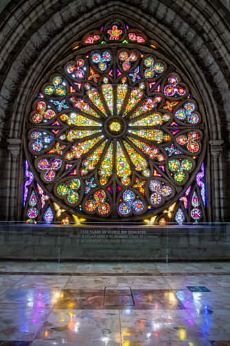 The Basilica del Voto Nacional, Quito