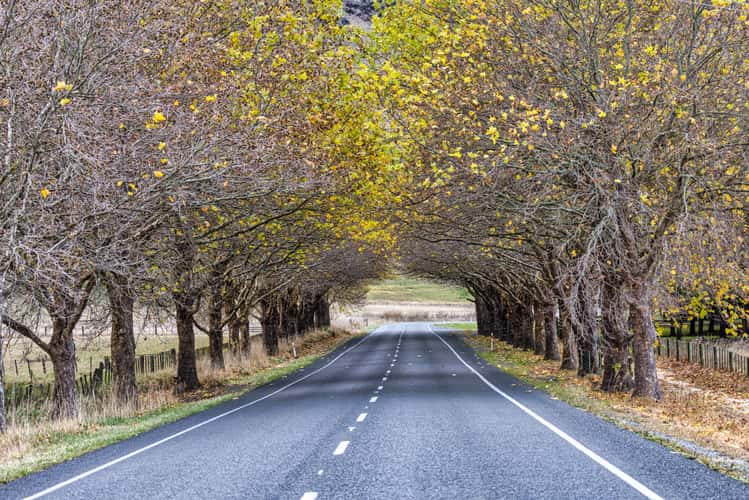 Waimarama Rd, Havelock North, North Island