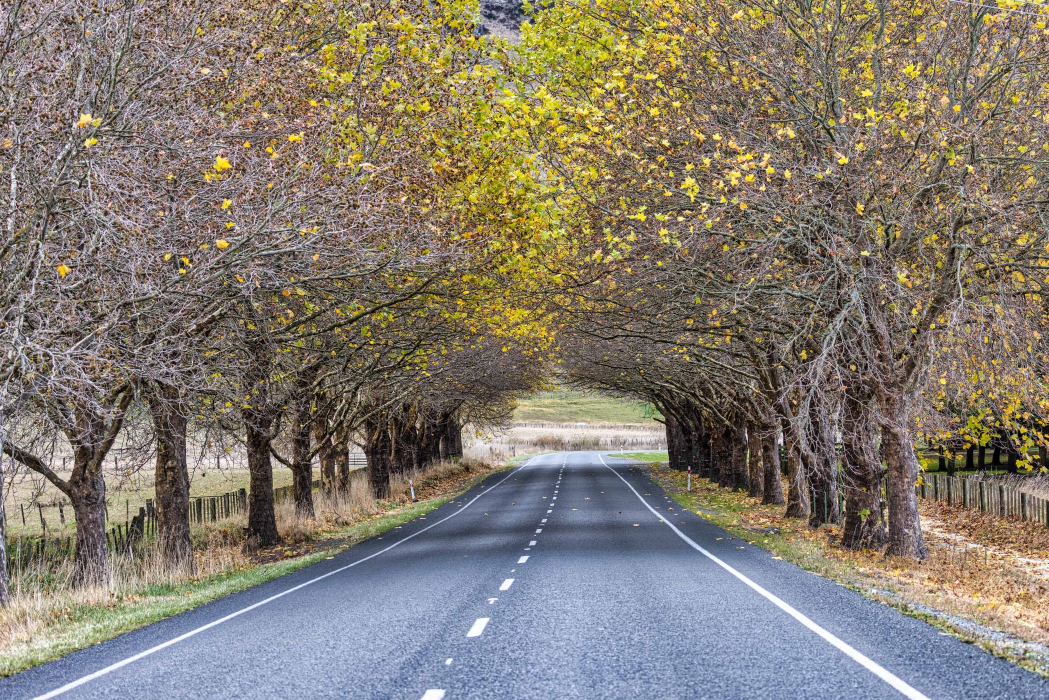 Waimarama Rd, Havelock North, North Island, New Zealand
