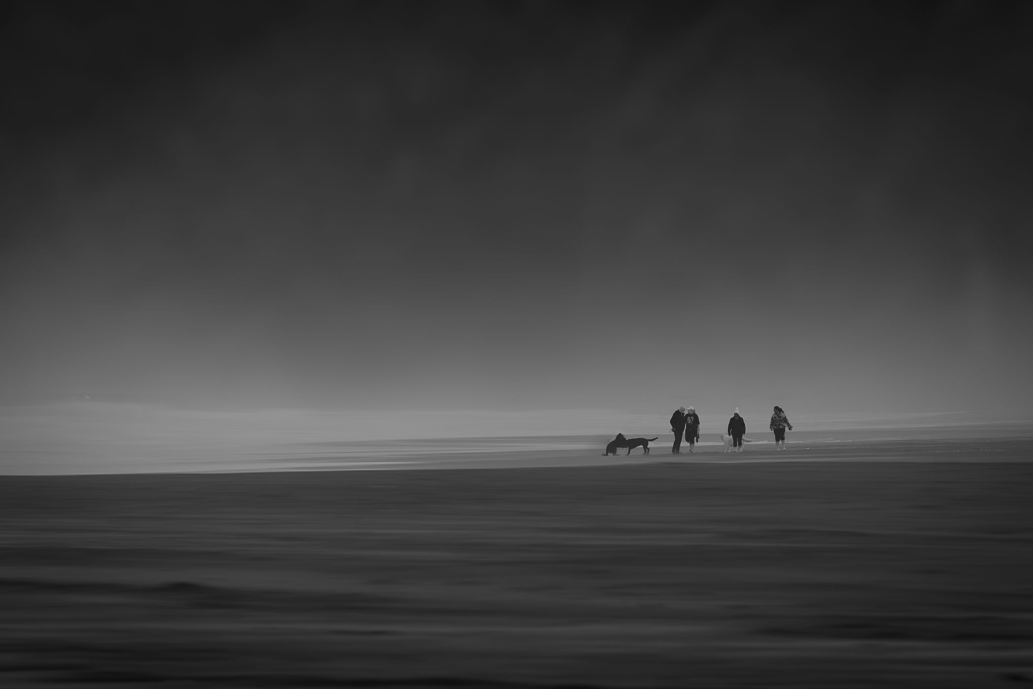 Walkers misty sunrise Piha, North Island, New Zealand