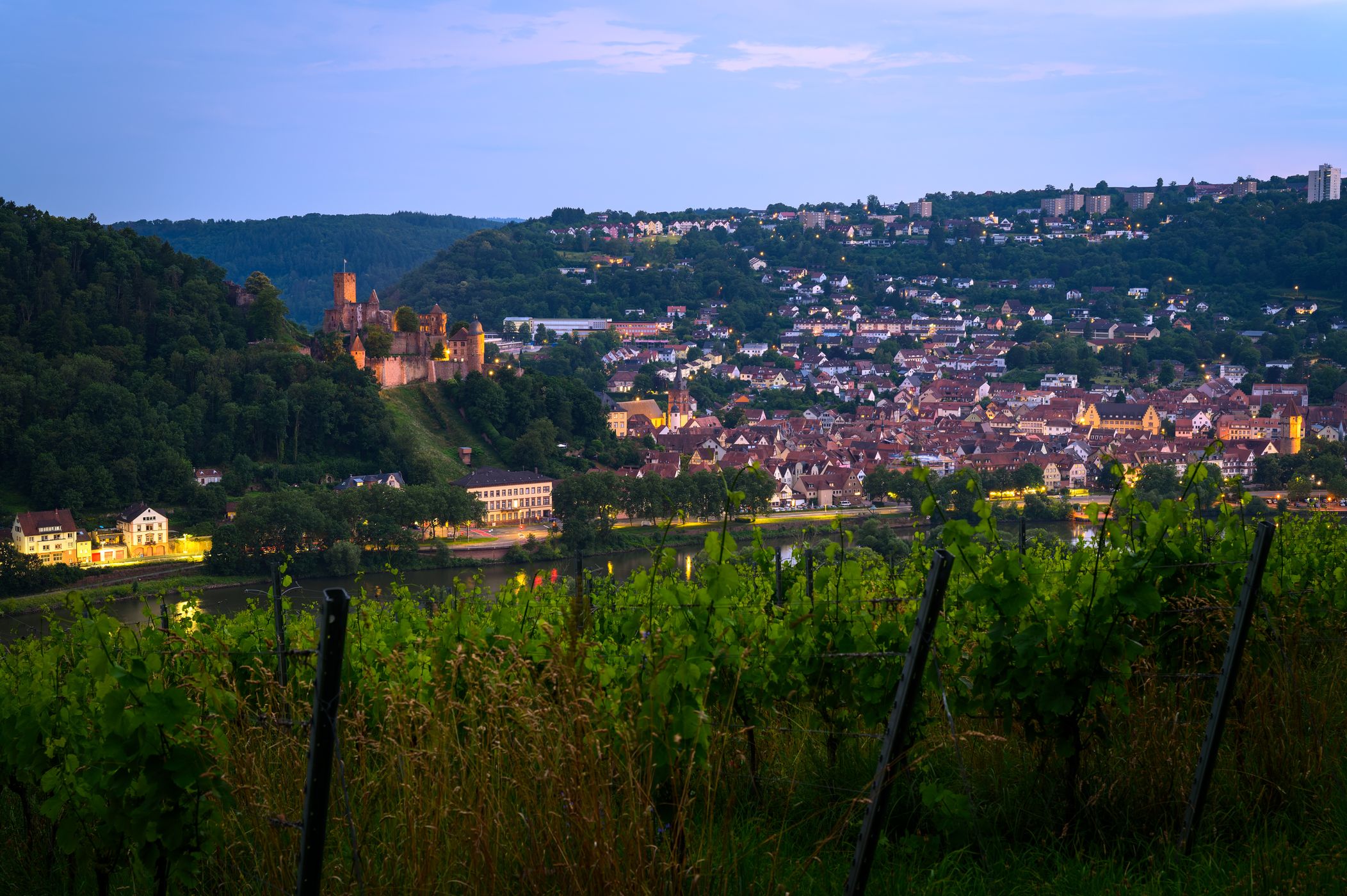Weinberge Kreuzwertheim, Germany