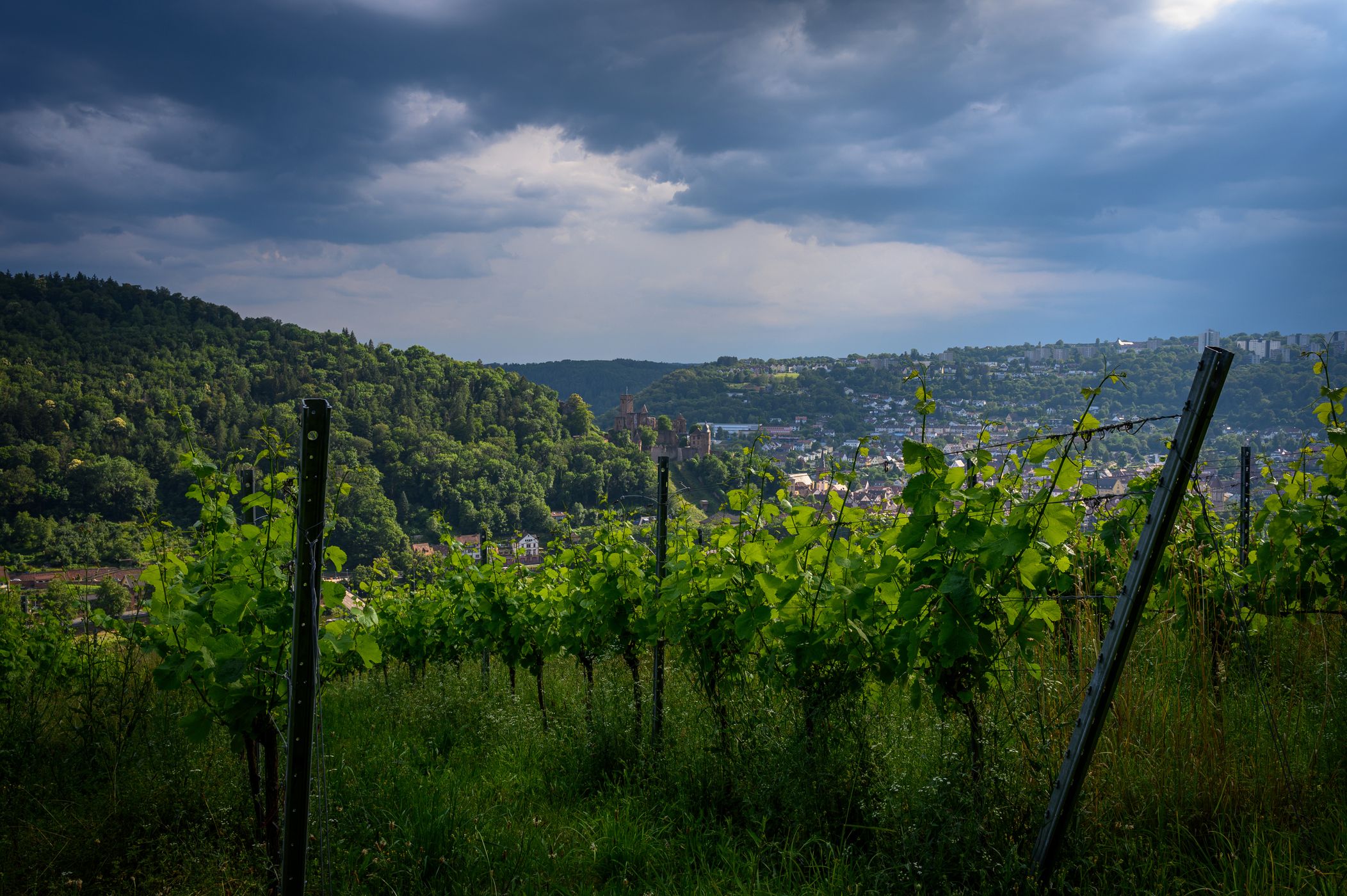 Weinberge Kreuzwertheim, Germany