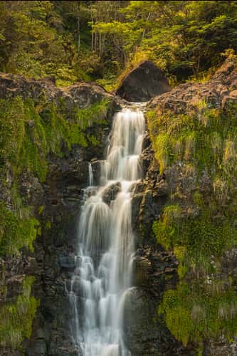 Akaka Falls Waterfall