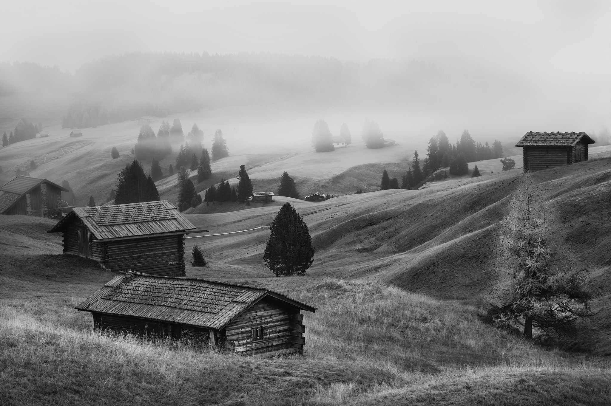 Alpe di Siusi, Italy