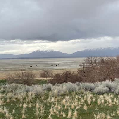 Antelope Island, USA