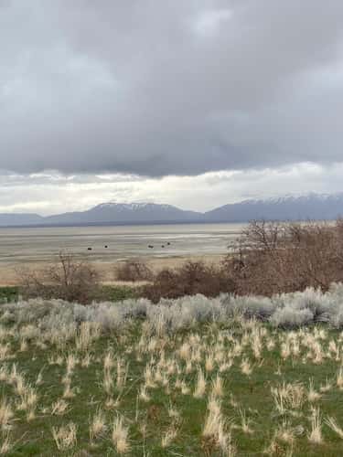 Antelope Island