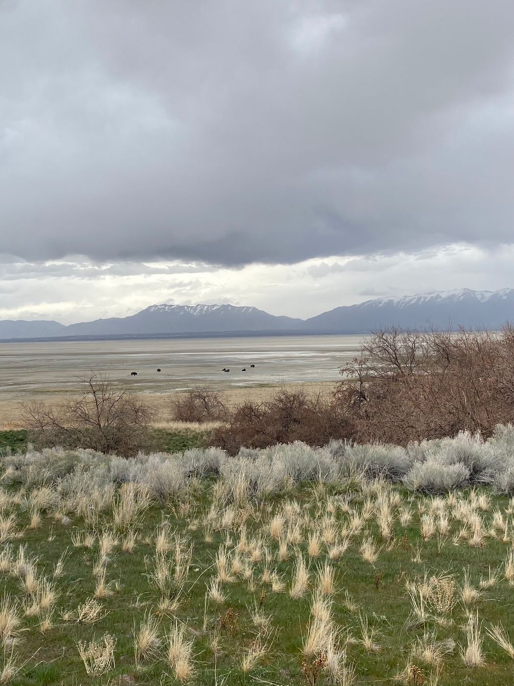 Antelope Island, USA