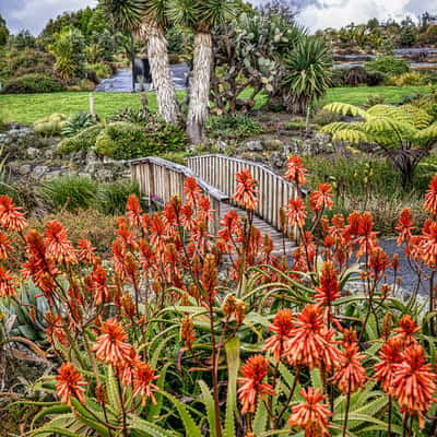 Auckland Botanical Gardens, Auckland, North Island, New Zealand