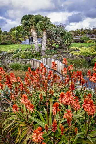 Auckland Botanical Gardens, Auckland, North Island