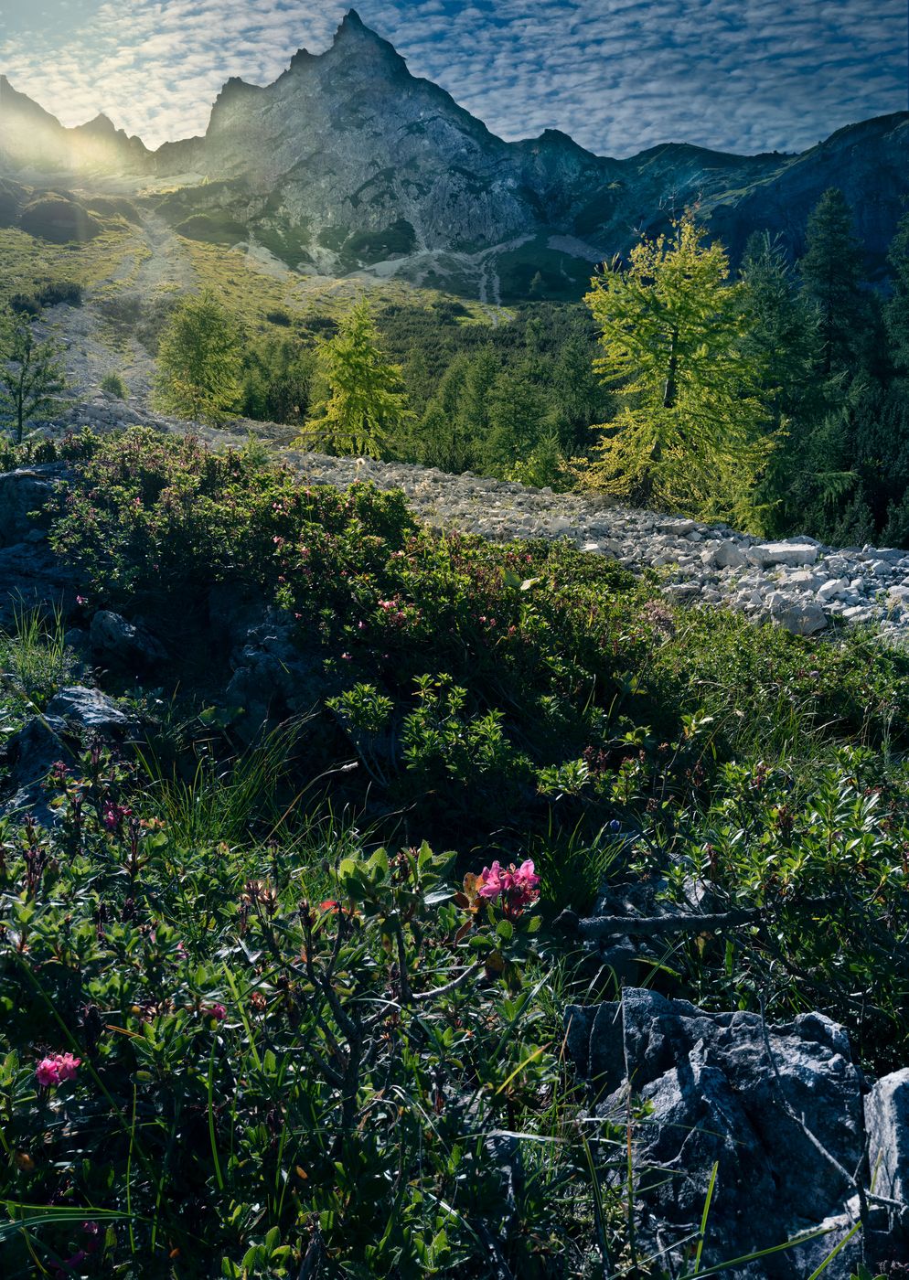 Austrian Alps, Austria