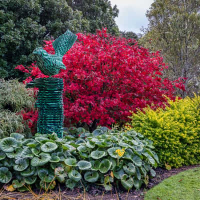 Bird Statue Auckland Botanical Gardens, North Island, New Zealand