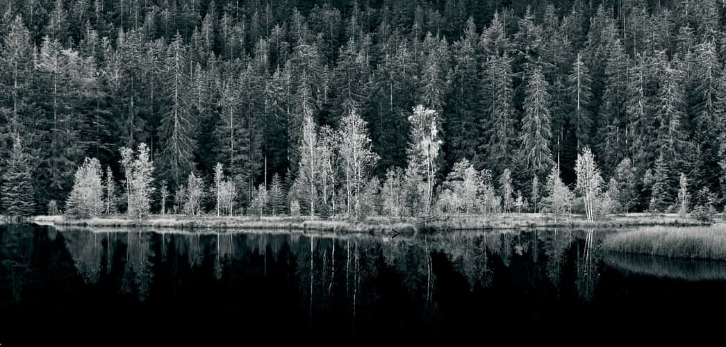 Buhlbachsee, Black Forrest