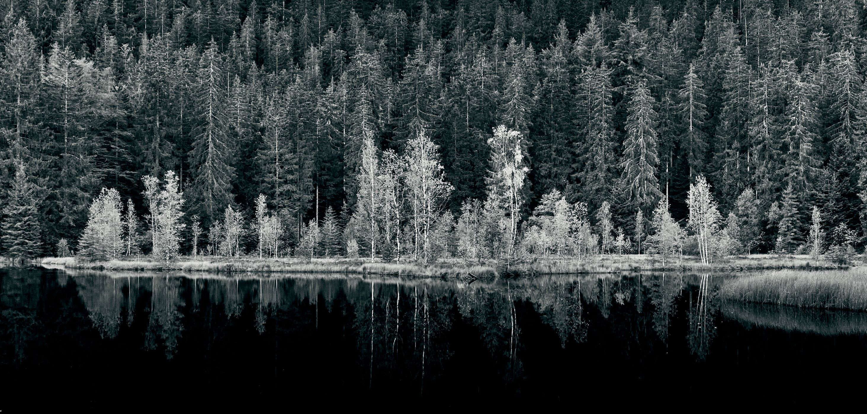 Buhlbachsee, Black Forrest, Germany