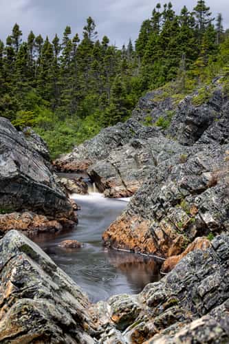 Cape Broyle River view