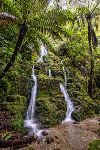 Cascade Falls, Lake Okataina, North Island