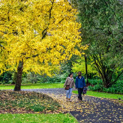 Changing colours Auckland Botanical Gardens, North Island, New Zealand