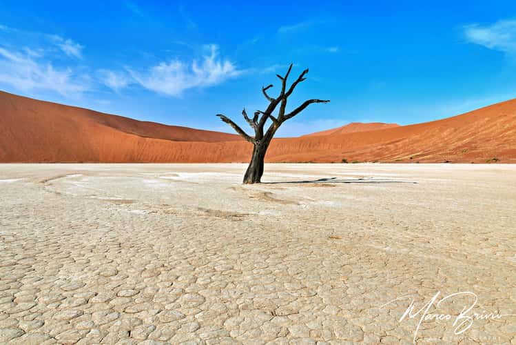 Deadvlei, Sossusvlei