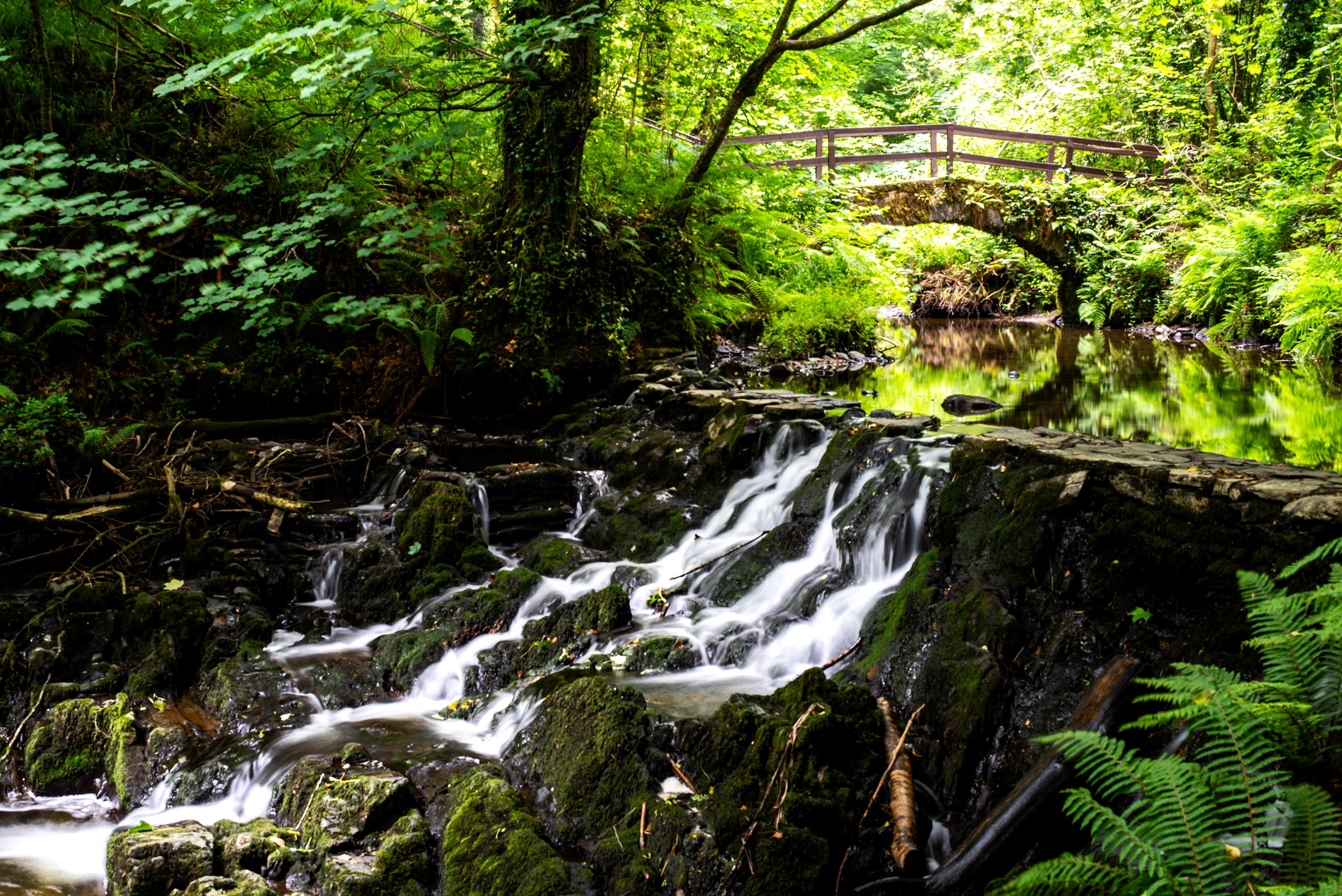 Dún a Rí Forest Park, Ireland