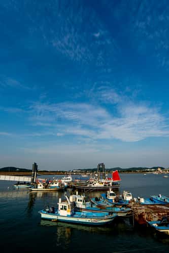 Fisher Port