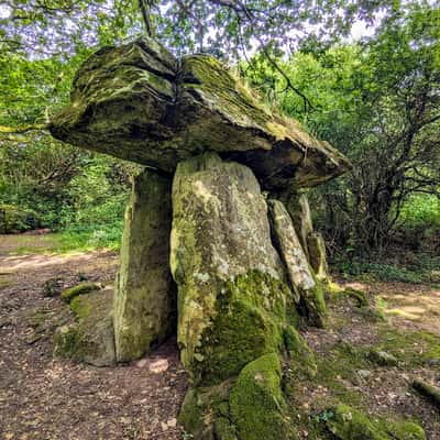 Gaulstown Dolmen, Ireland