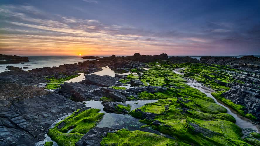 Golden Sunbeams (Praia do Castelejo)