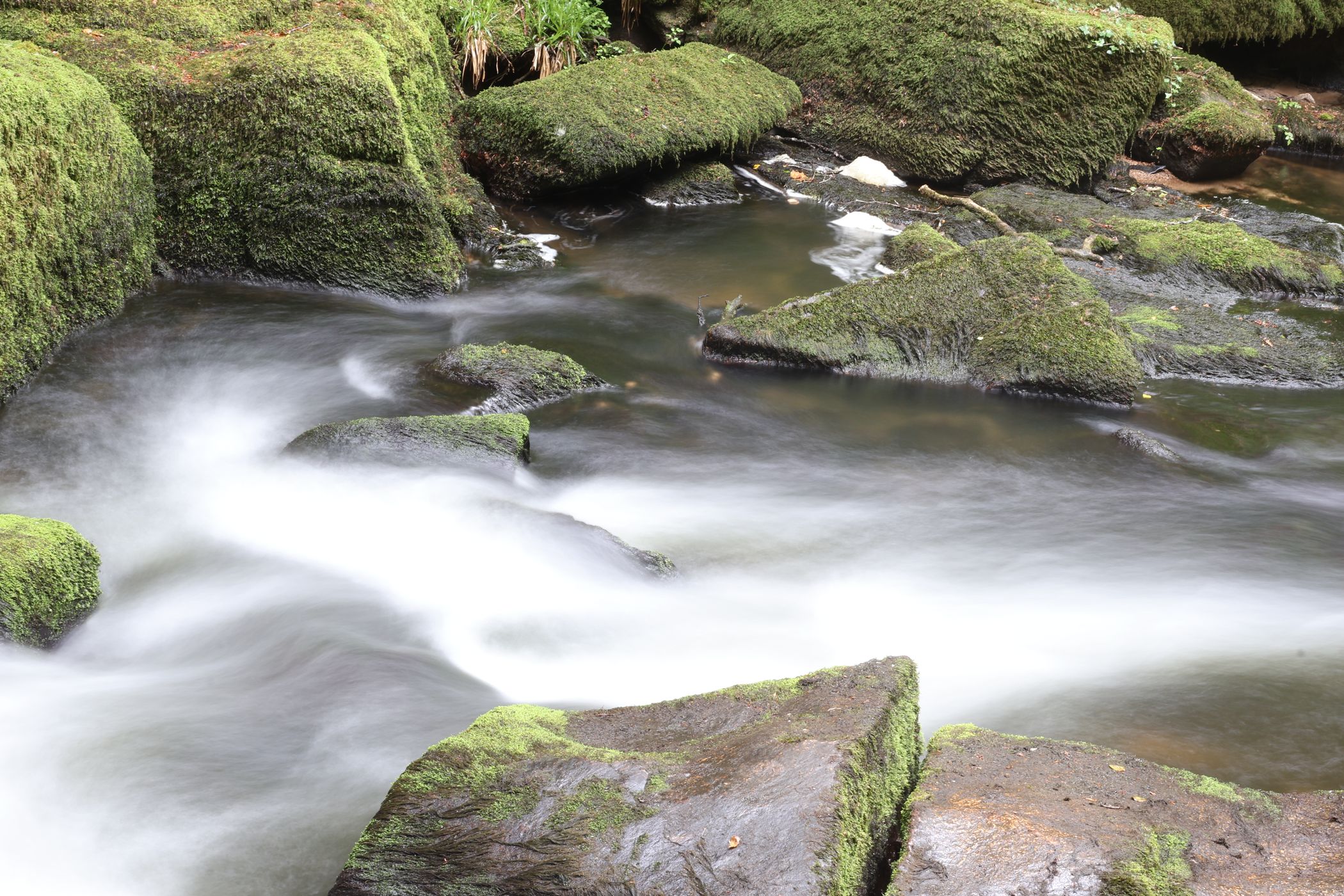 Golitha Falls, United Kingdom