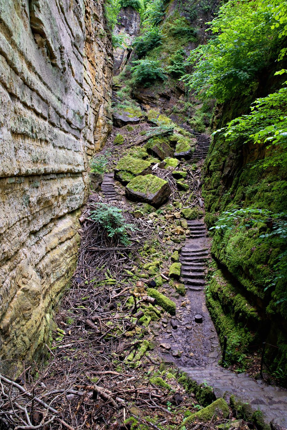 Gorges du Loup, Luxembourg